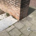 IMG_1732126
