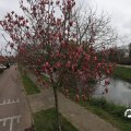 IMG_1732201