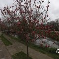 IMG_1732202