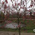 IMG_1732207