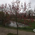IMG_1732208