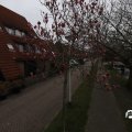 IMG_1732210