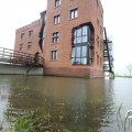 IMG_1732229