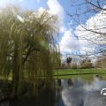 IMG_1732265