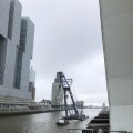 IMG_1732558