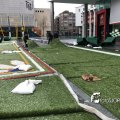 IMG_1732500