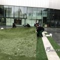 IMG_1732511