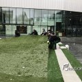 IMG_1732518