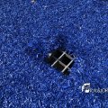 IMG_1732861