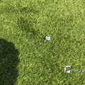 IMG_1732867