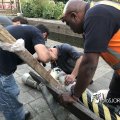 IMG_1741583