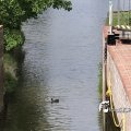 IMG_1741593