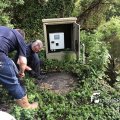 IMG_1741741
