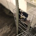 IMG_1741886