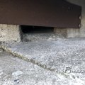 IMG_1742251