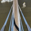IMG_1742262