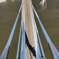 IMG_1742263