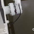 IMG_1743094