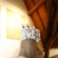 IMG_1744011