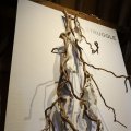 IMG_1744017