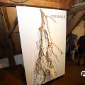 IMG_1744019