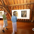 IMG_1744107