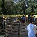 DSC019_23-08-2021