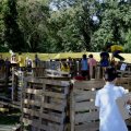 DSC020_23-08-2021