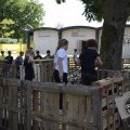 DSC027_23-08-2021