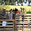 DSC049_23-08-2021