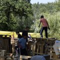 DSC057_23-08-2021