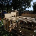IMG_1754732