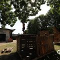 IMG_1754759