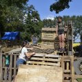 DSC009_24-08-2021