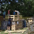 DSC010_24-08-2021