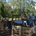 DSC013_24-08-2021