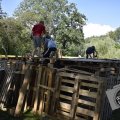 DSC014_24-08-2021