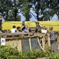 DSC021_24-08-2021