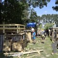 DSC035_24-08-2021