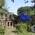 DSC005_25-08-2021