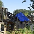 DSC006_25-08-2021
