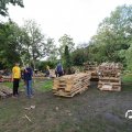IMG_1755950