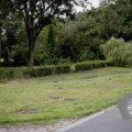 DSC004_28-08-2021