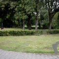 DSC008_28-08-2021