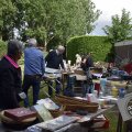 DSC017_28-08-2021
