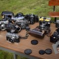 DSC019_28-08-2021