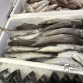 IMG_1758737