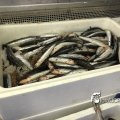 IMG_1758738