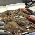 IMG_1758742