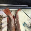 IMG_1759803